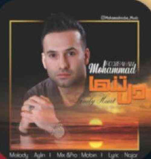 محمد روزبهانی دل تنها